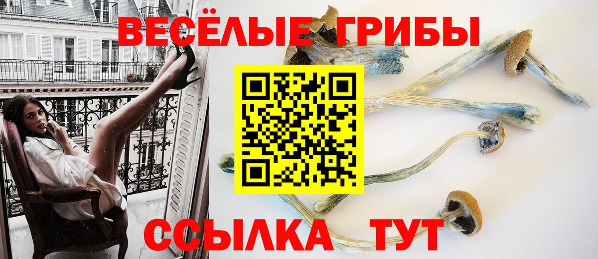 Коряжма  Галлюциногенные грибы MAGIC MUSHROOMS  Вход с VPN 